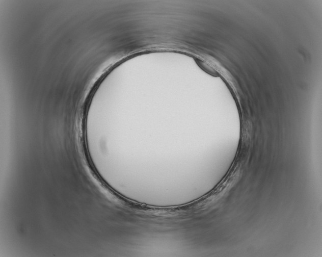 X0000113031005200909241410