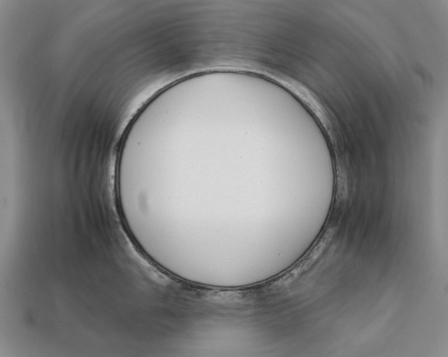 X0000113031006200909241410