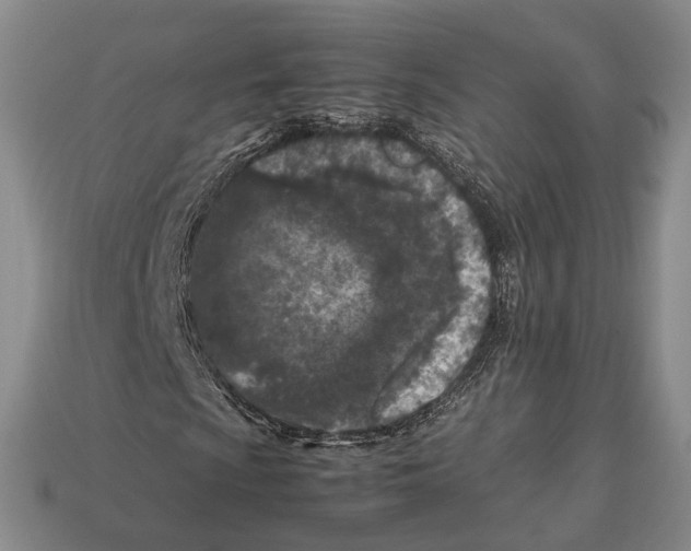 X0000113031009200909241409