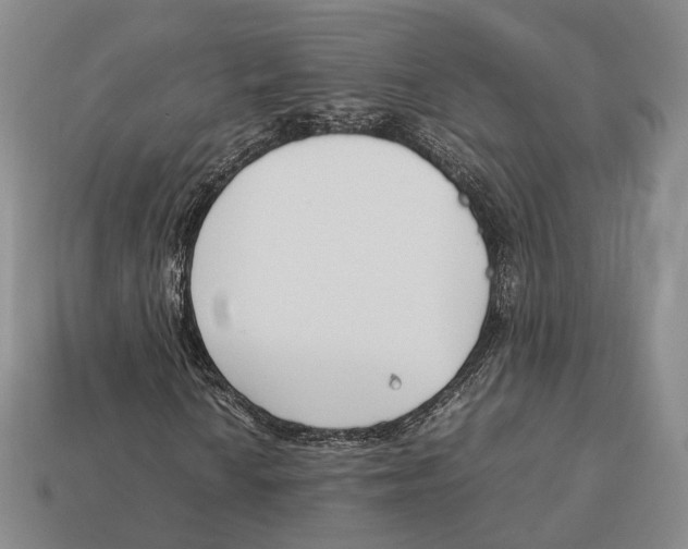 X0000113031010200909241409