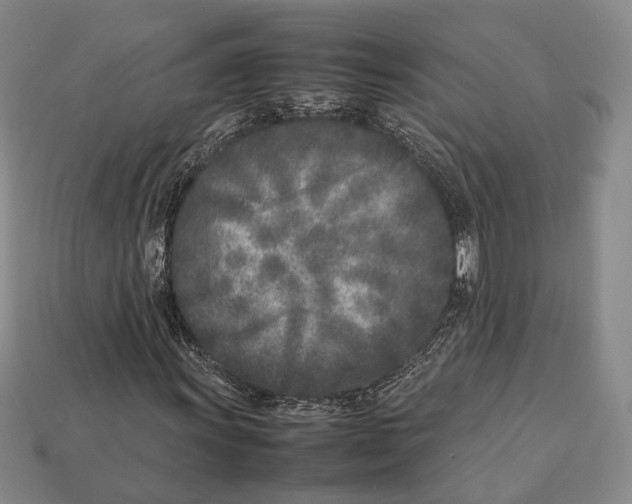 X0000113031011200909241409