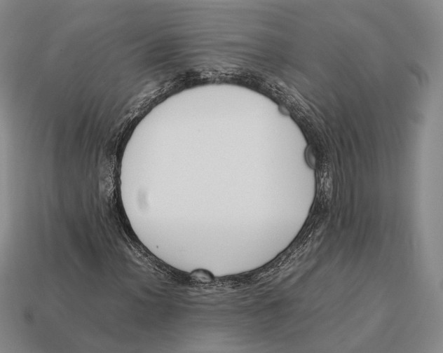 X0000113031012200909241409