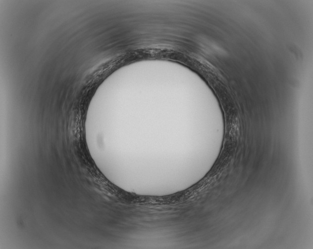 X0000113031014200909241409