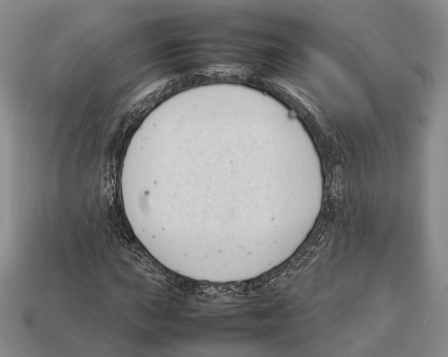 X0000113031015200909241409