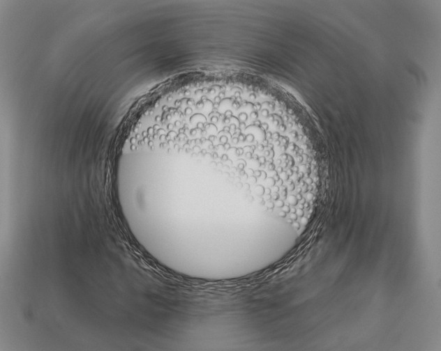 X0000113031016200909241409