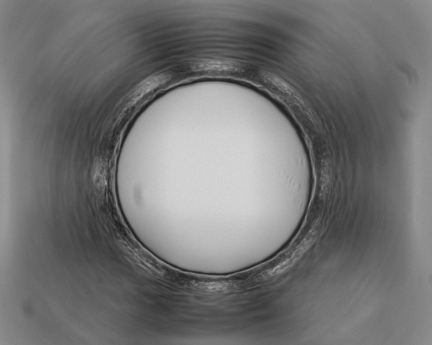 X0000113031017200909241409