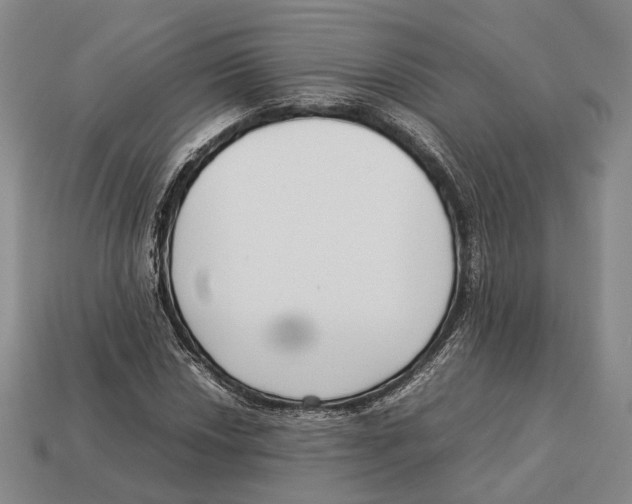 X0000113031018200909241409