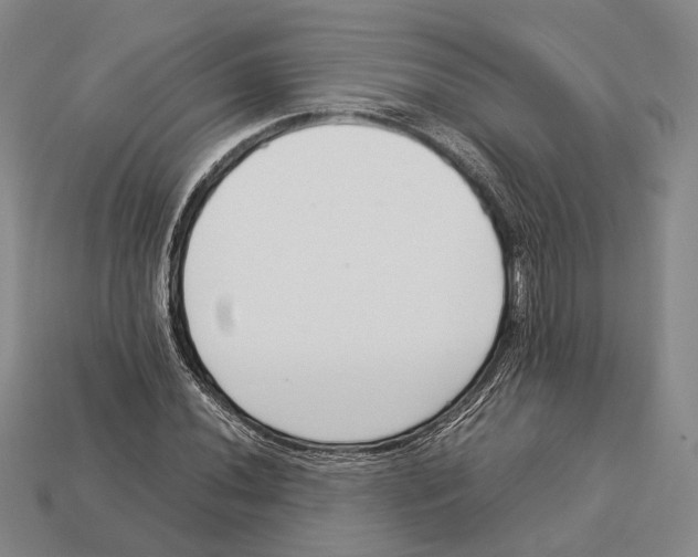 X0000113031020200909241409