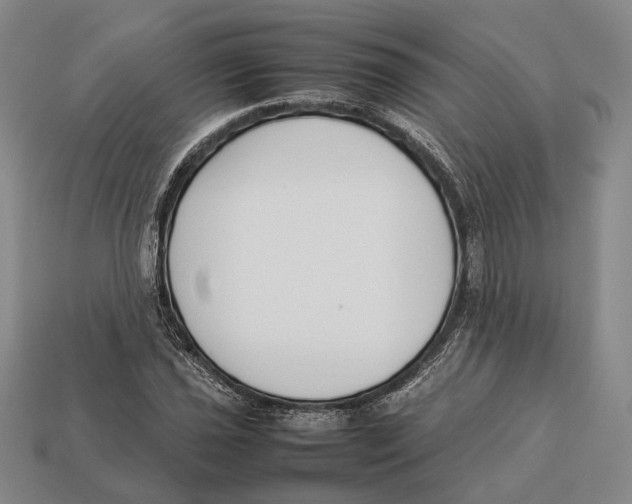 X0000113031021200909241409