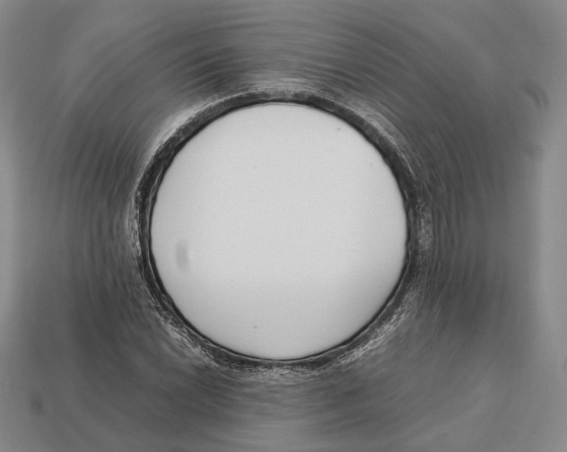 X0000113031022200909241409