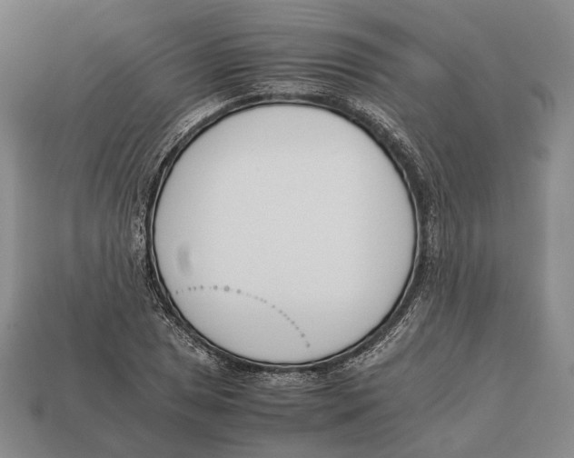 X0000113031025200909241409