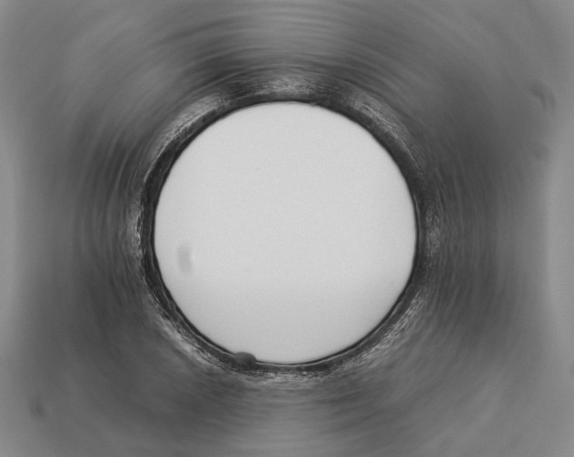 X0000113031026200909241409