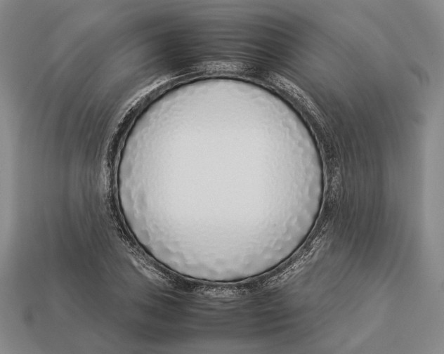 X0000113031027200909241409