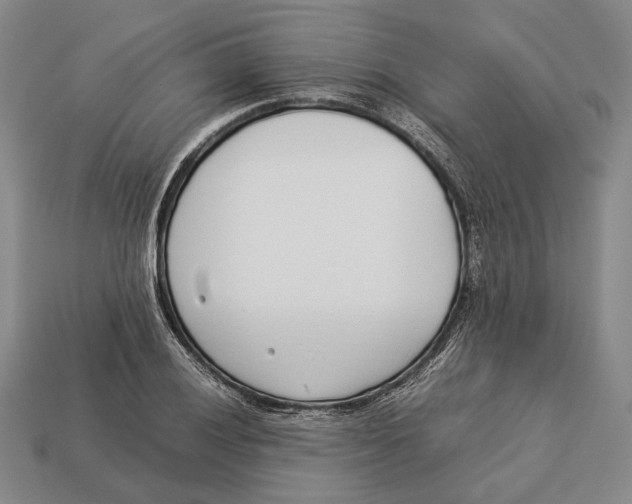 X0000113031028200909241409