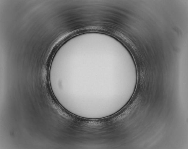 X0000113031029200909241409