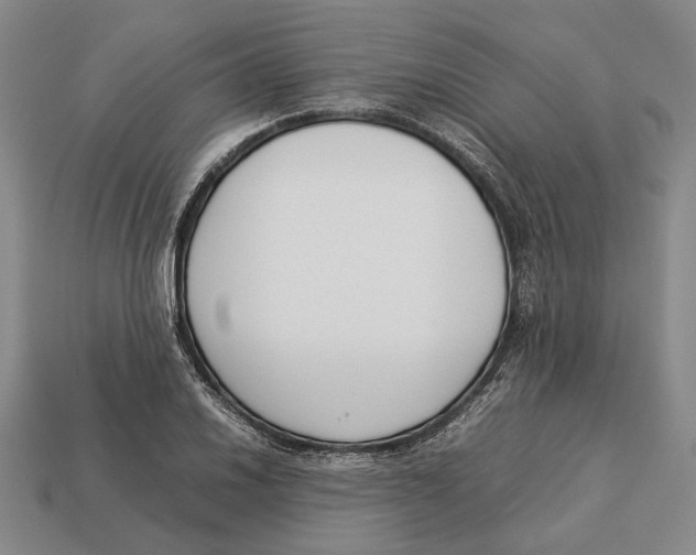 X0000113031030200909241409