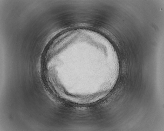 X0000113031031200909241409