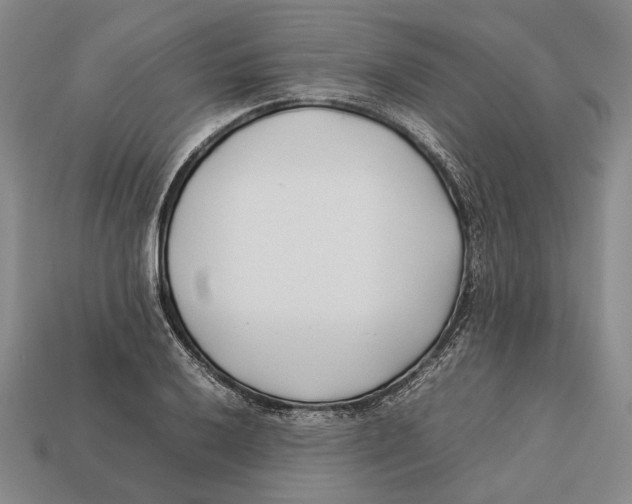 X0000113031032200909241409