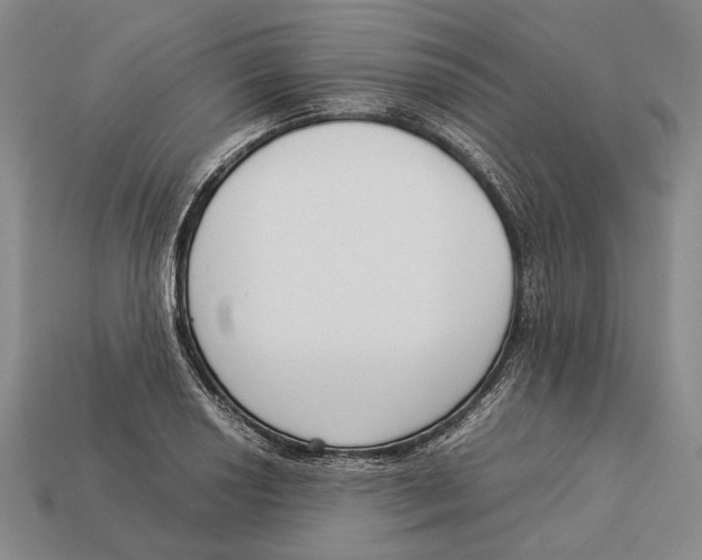 X0000113031034200909241409