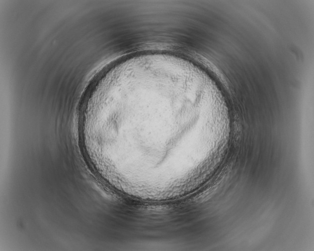 X0000113031035200909241409