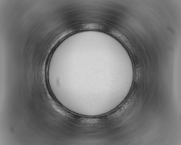 X0000113031039200909241409