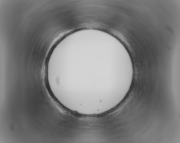 X0000113031040200909241409