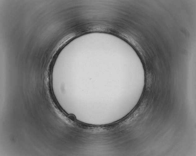 X0000113031042200909241409