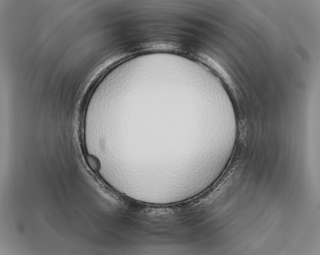 X0000113031043200909241409