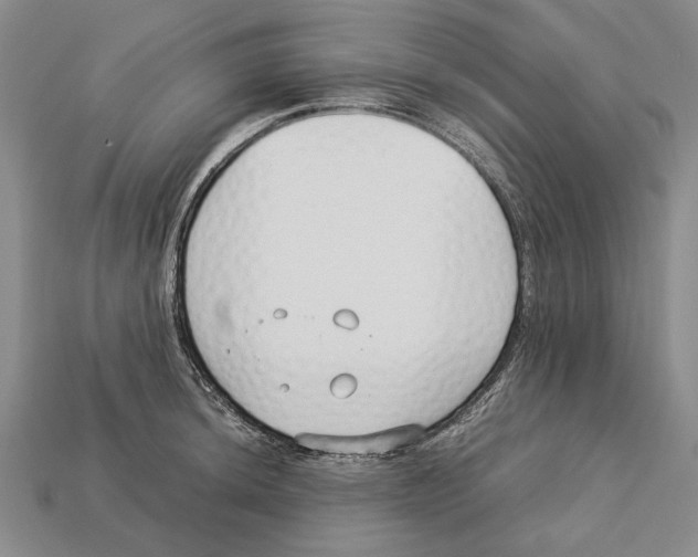 X0000113031044200909241409