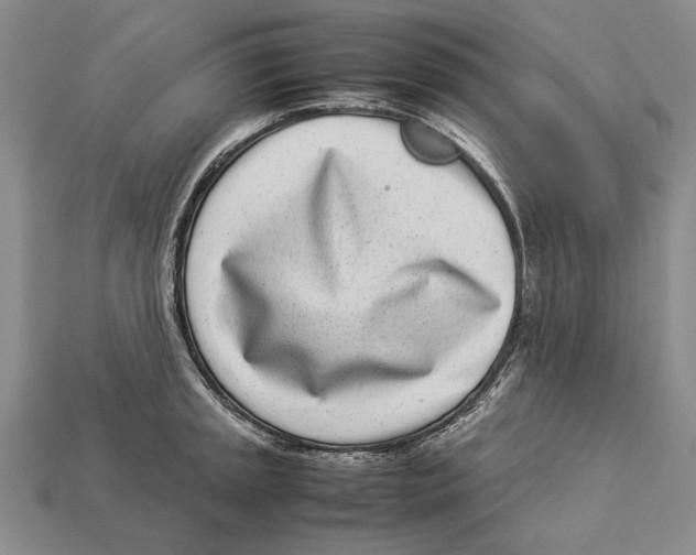 X0000113031045200909241409