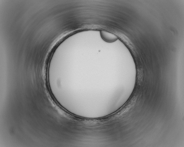 X0000113031046200909241409