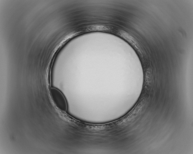 X0000113031047200909241409