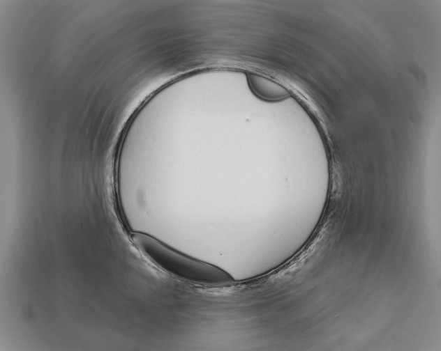 X0000113031048200909241409