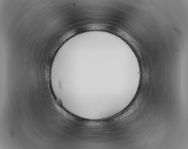 X0000113031049200909241409