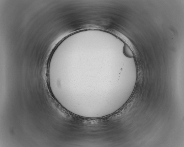 X0000113031051200909241409