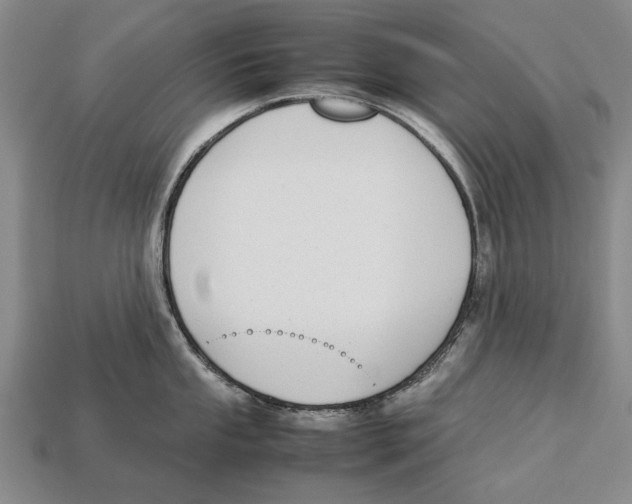 X0000113031053200909241409