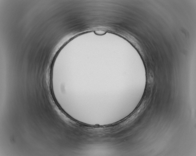 X0000113031054200909241409