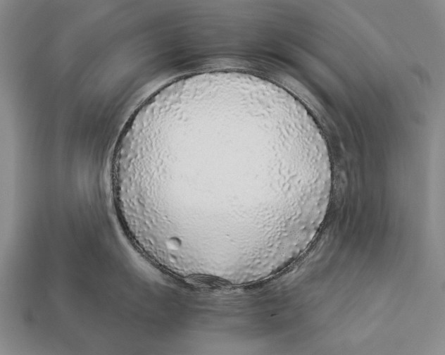 X0000113031055200909241409