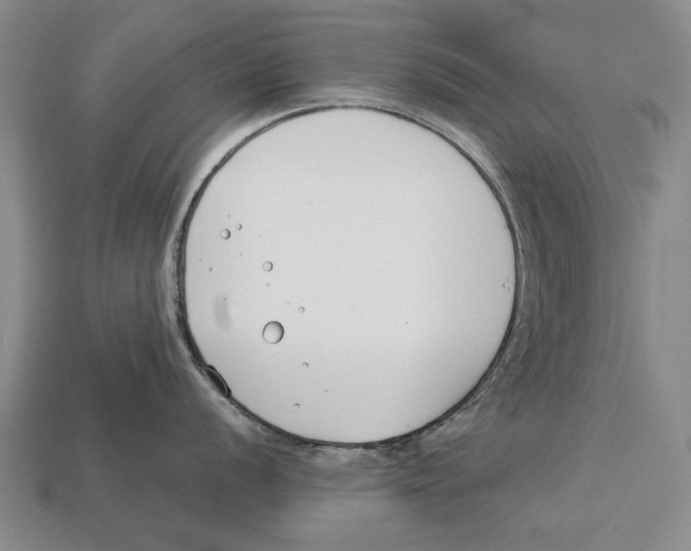 X0000113031056200909241410