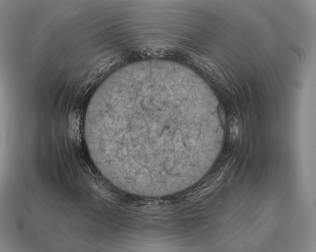 X0000113031060200909241409