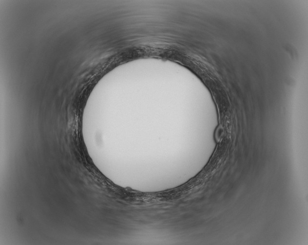 X0000113031061200909241409