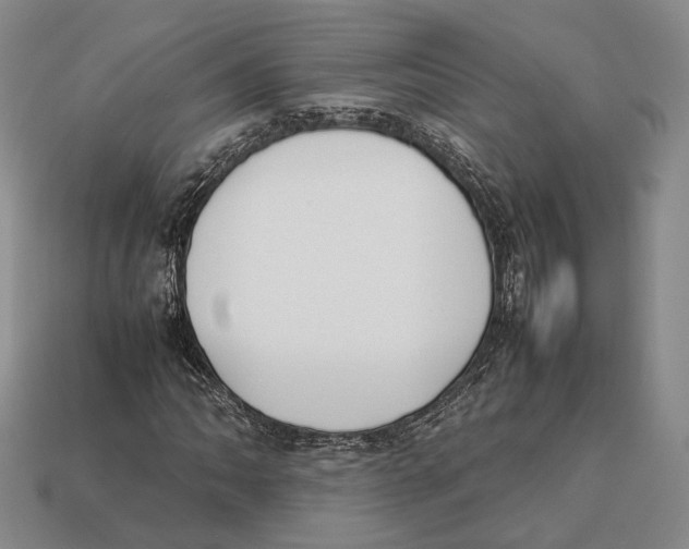 X0000113031062200909241409