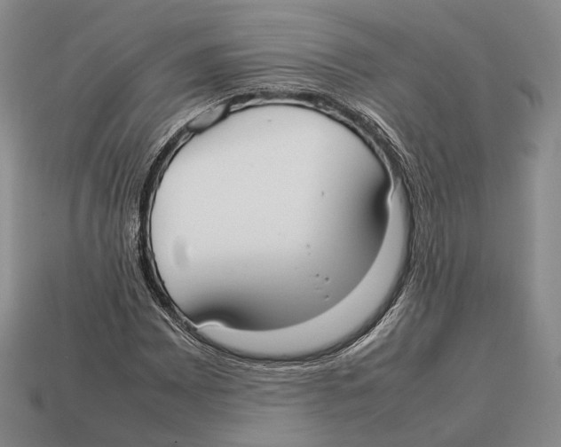 X0000113031065200909241409