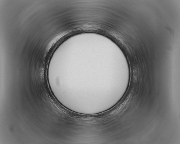 X0000113031066200909241409