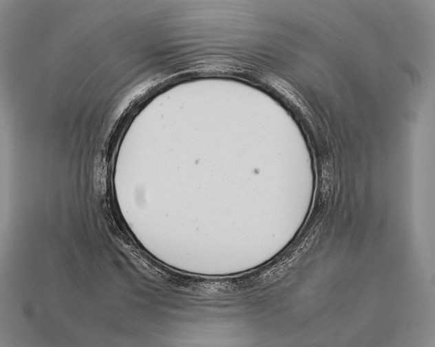 X0000113031067200909241409