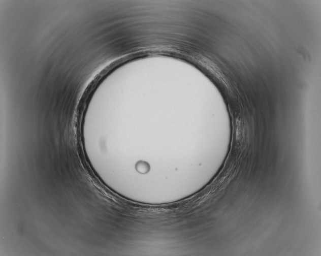 X0000113031068200909241409