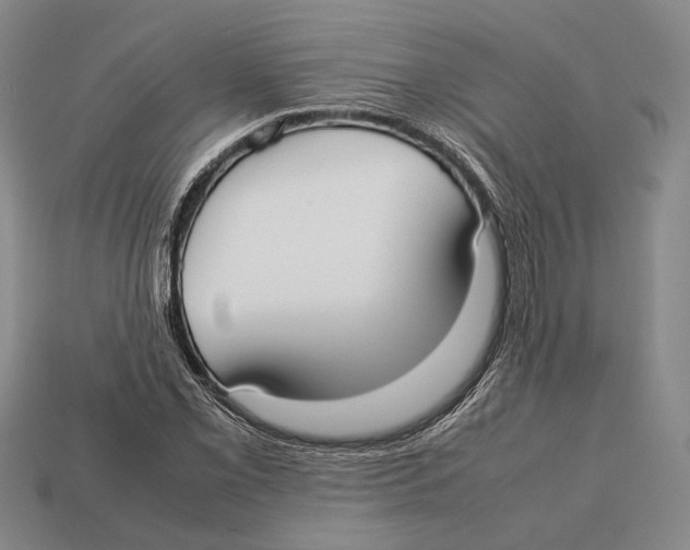 X0000113031069200909241409