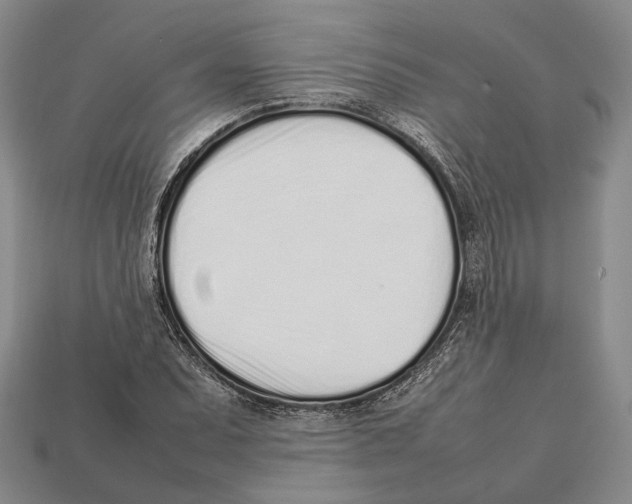 X0000113031071200909241409