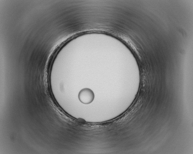 X0000113031072200909241409