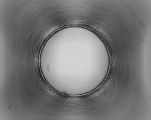 X0000113031073200909241409